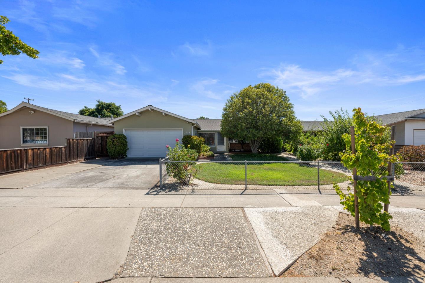 a view of backyard with a garden and entertaining space