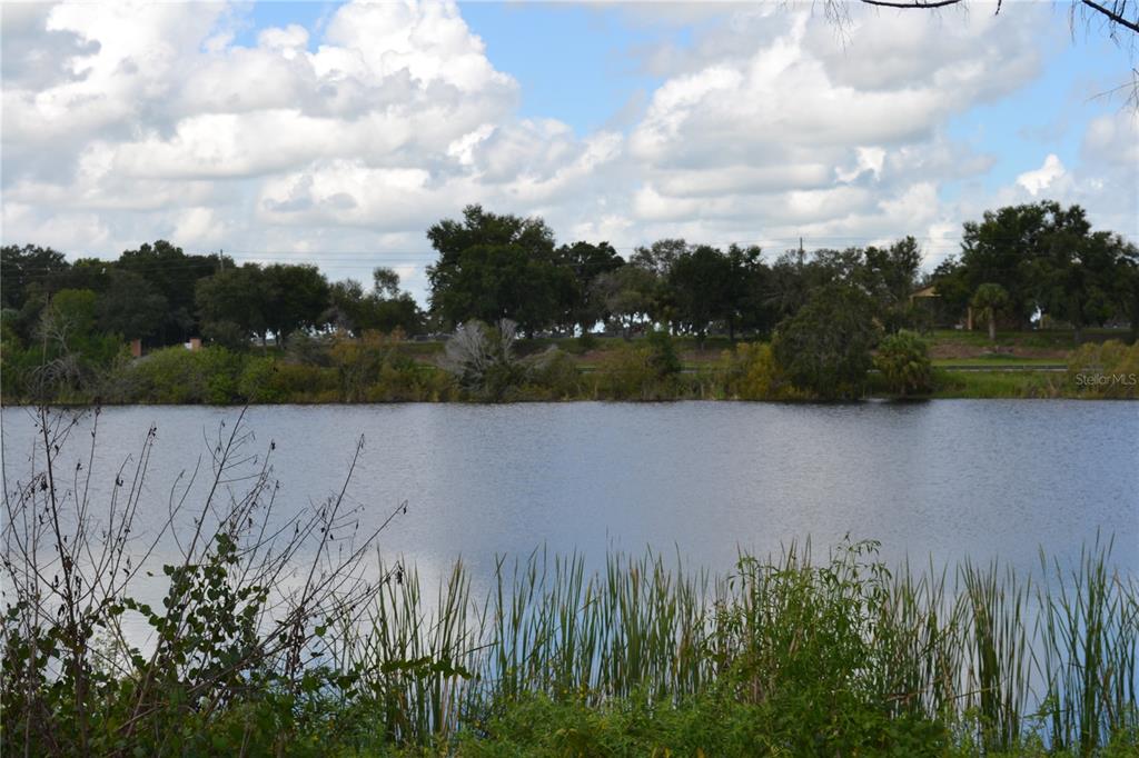 a view of lake with green space