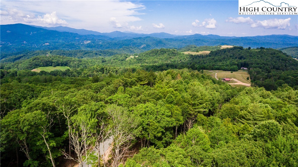 a view of a lush green forest with a house in the background