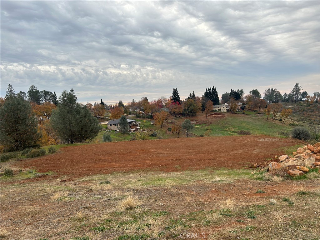 a view of a field with trees