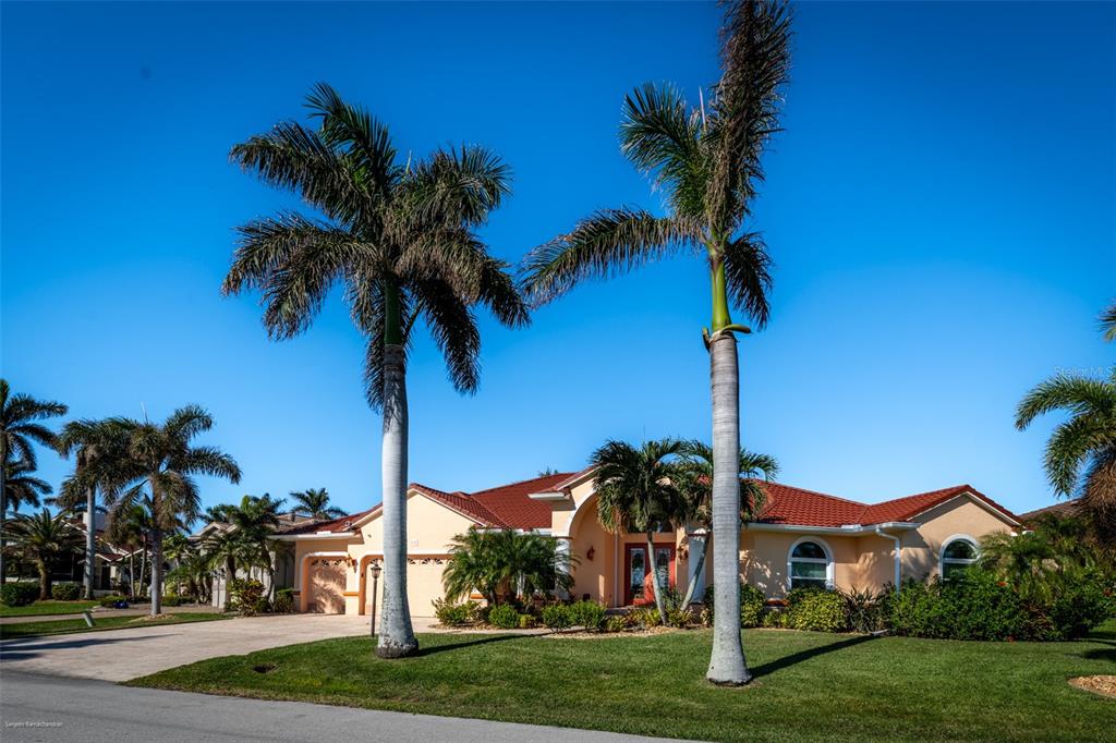 a view of a yard with a palm trees