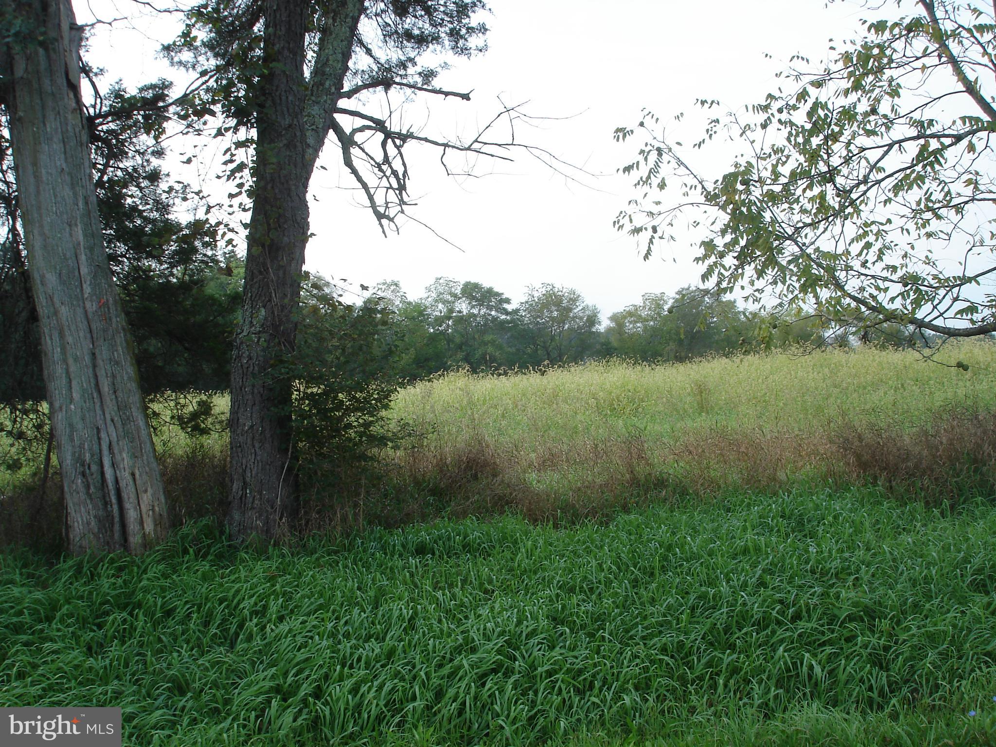 a view of a lake with a yard