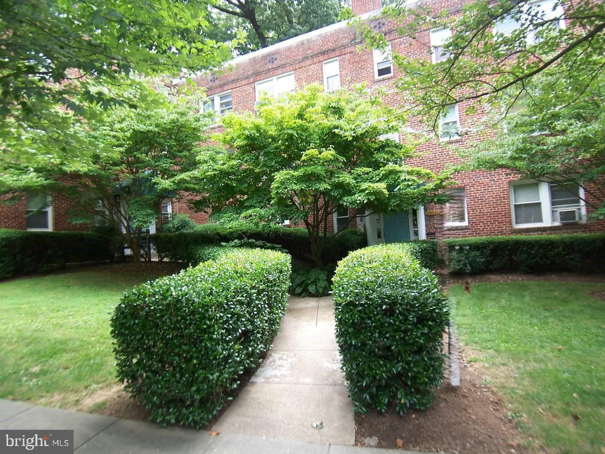 a view of a garden with a large tree