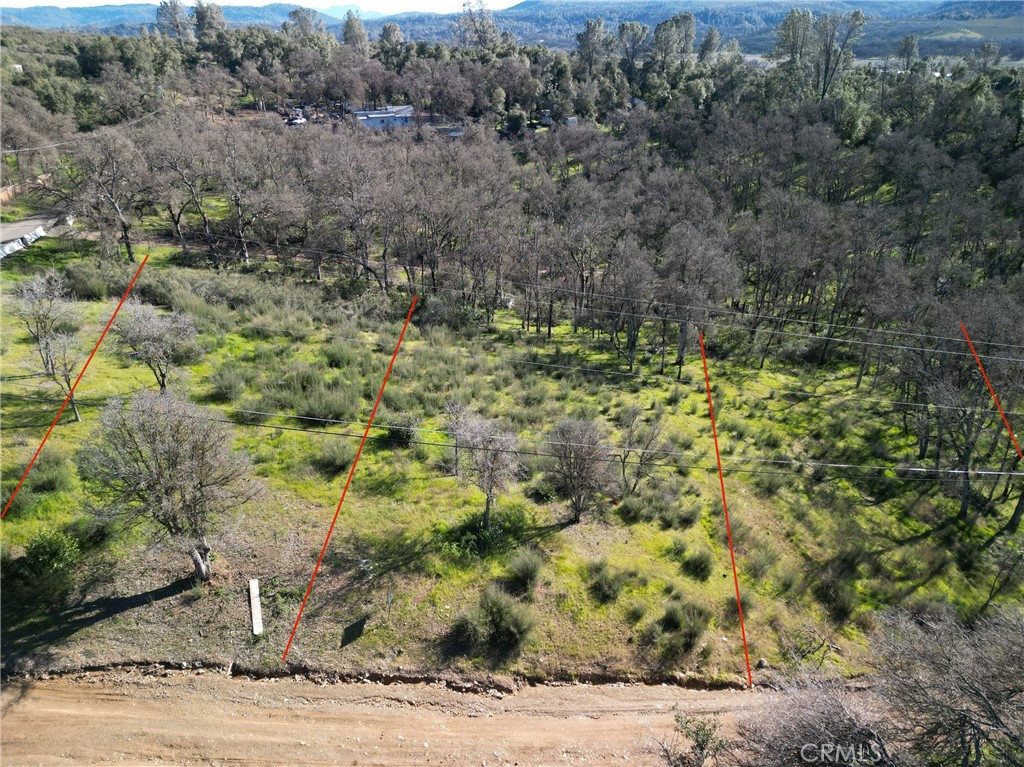 a view of a dry yard