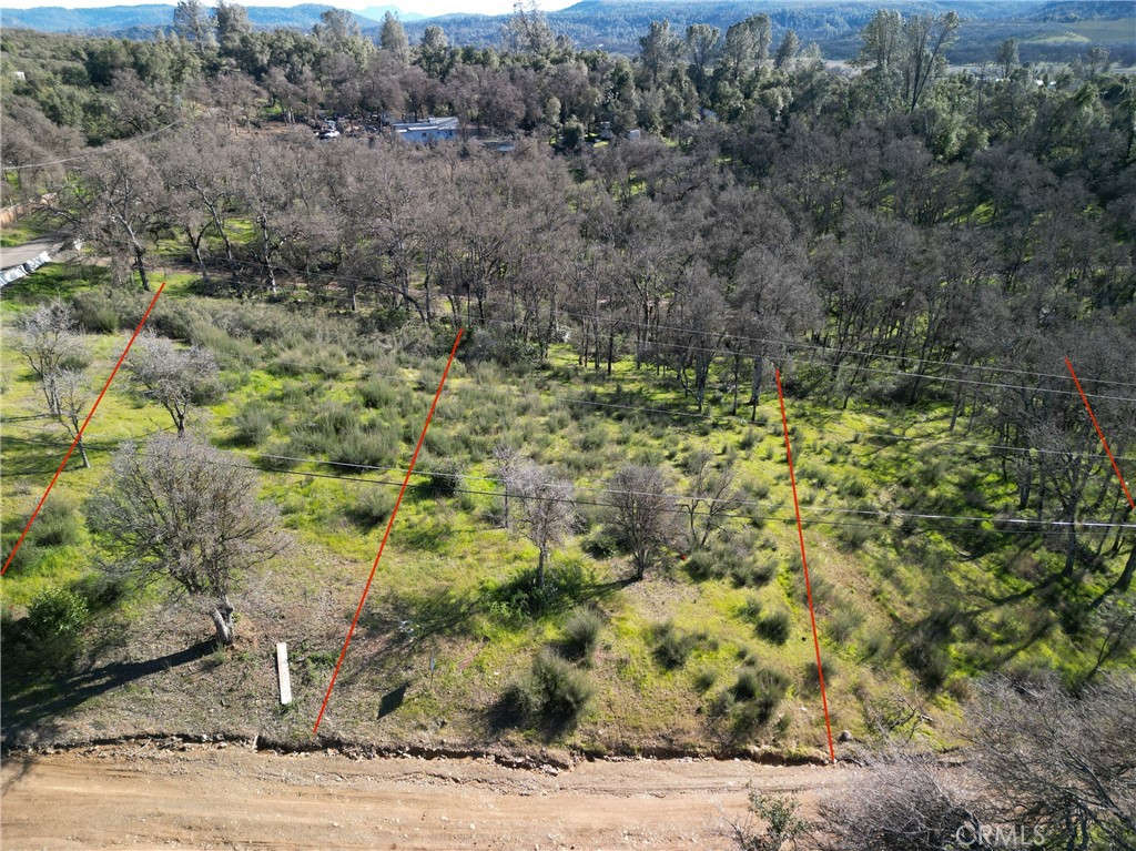 a view of a dry yard