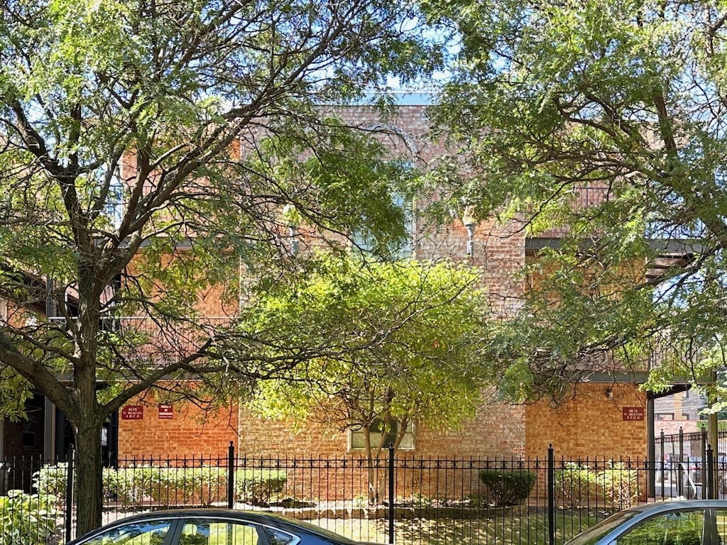 a view of a yard with plants and trees