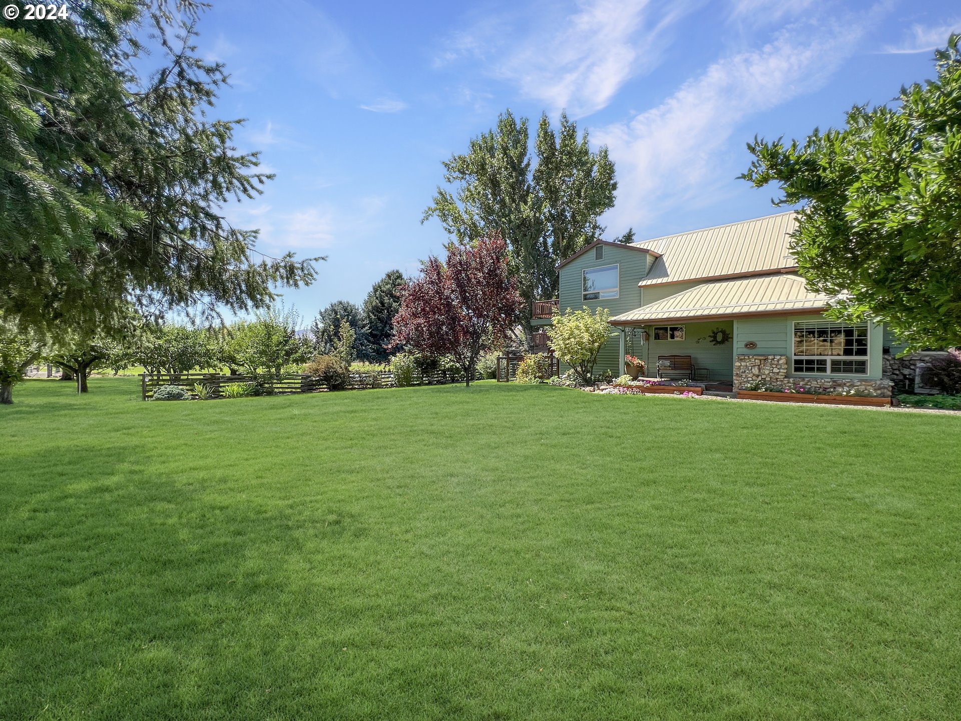 a view of outdoor space yard and green space