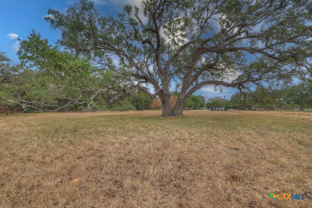 a view of yard with trees