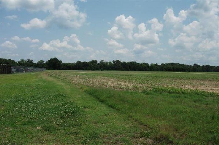 View of local wilderness with a rural view