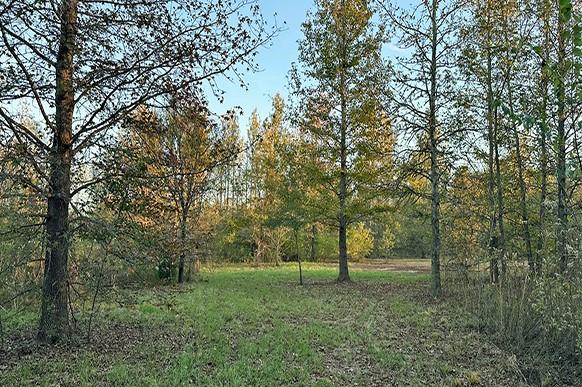 a big yard with lots of green space and trees