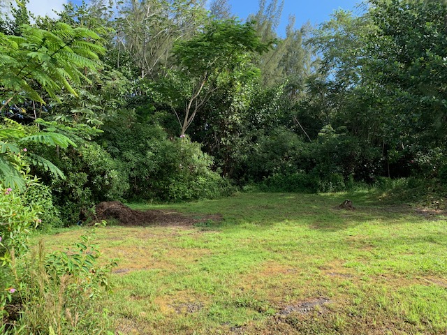 a view of backyard with green space