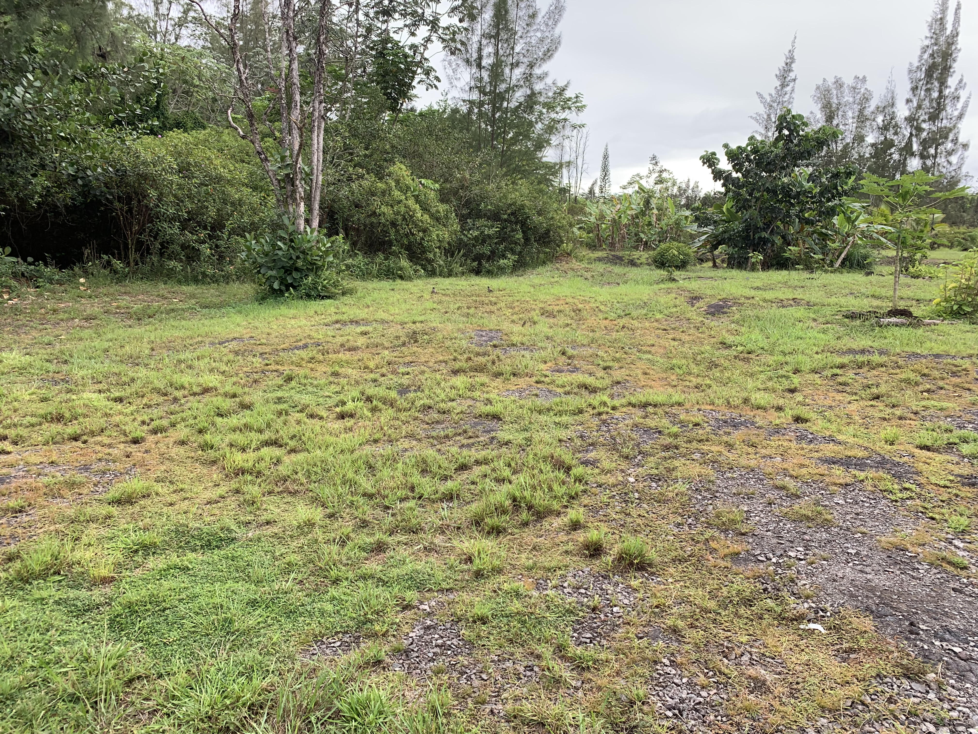 a view of a field with trees in the background