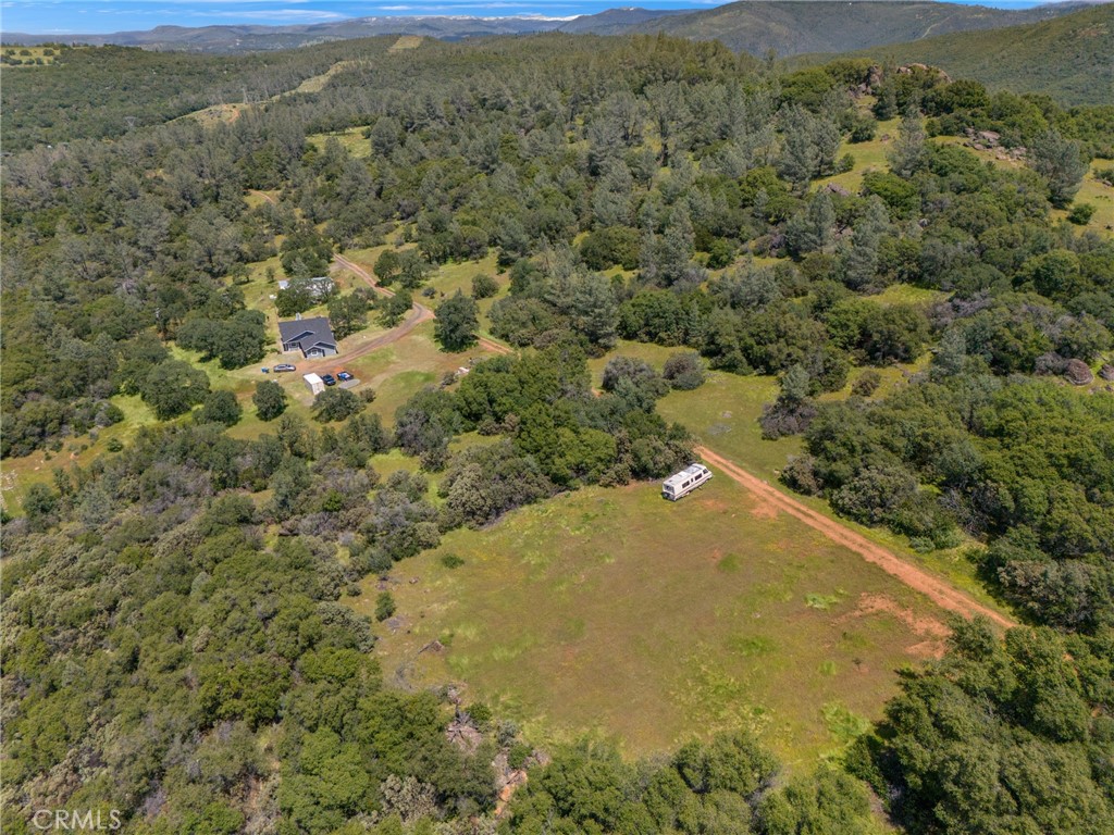 a view of a field with a forest