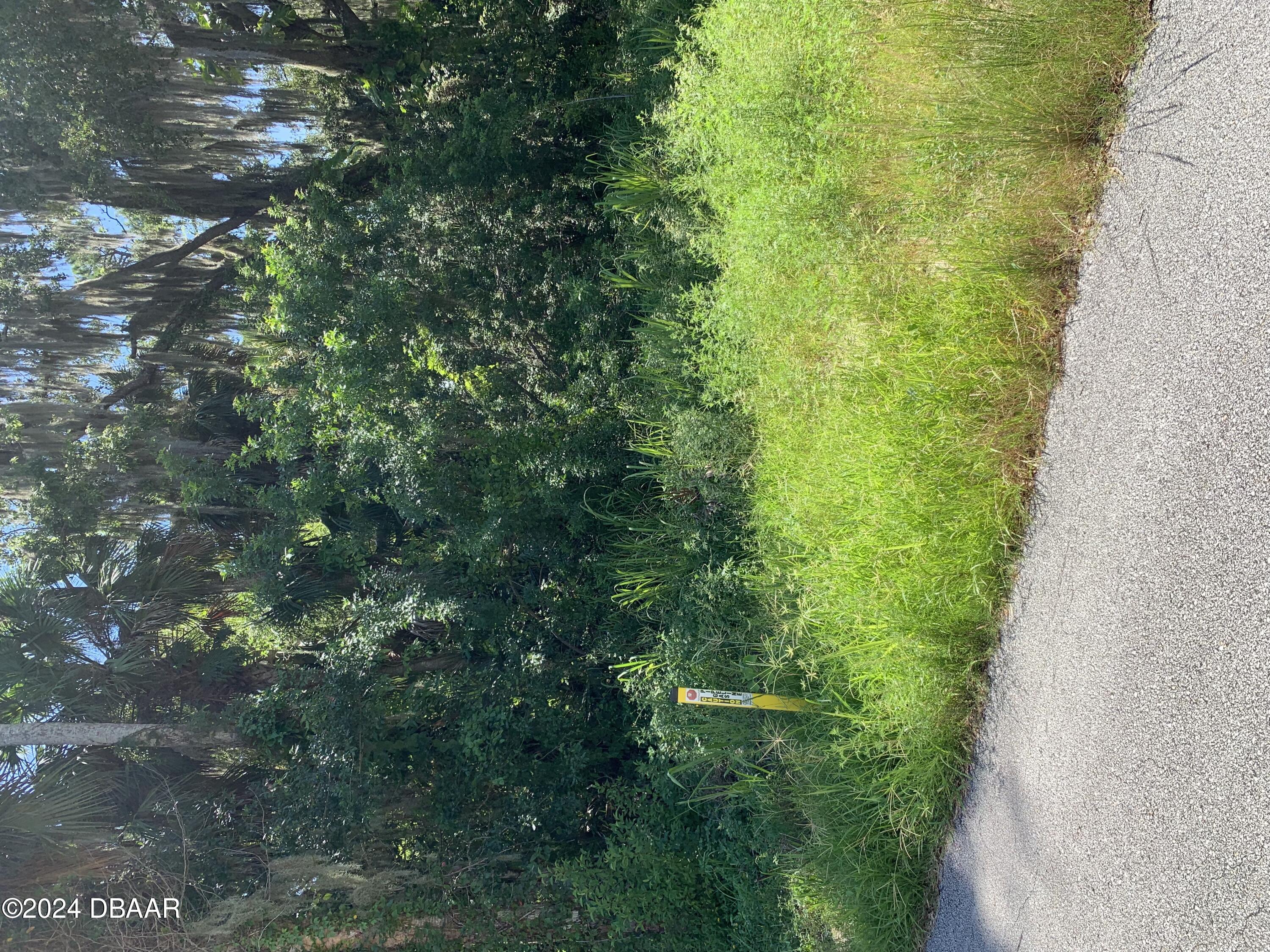 a green field with lots of trees