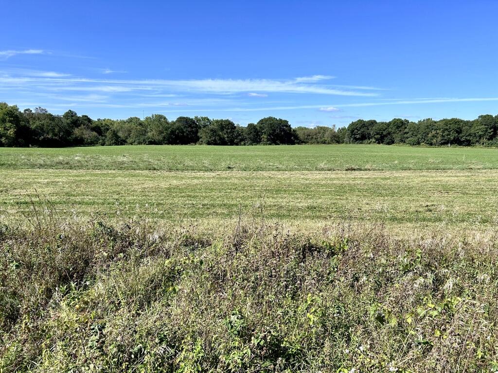 1.37-acre lot surrounded by nature