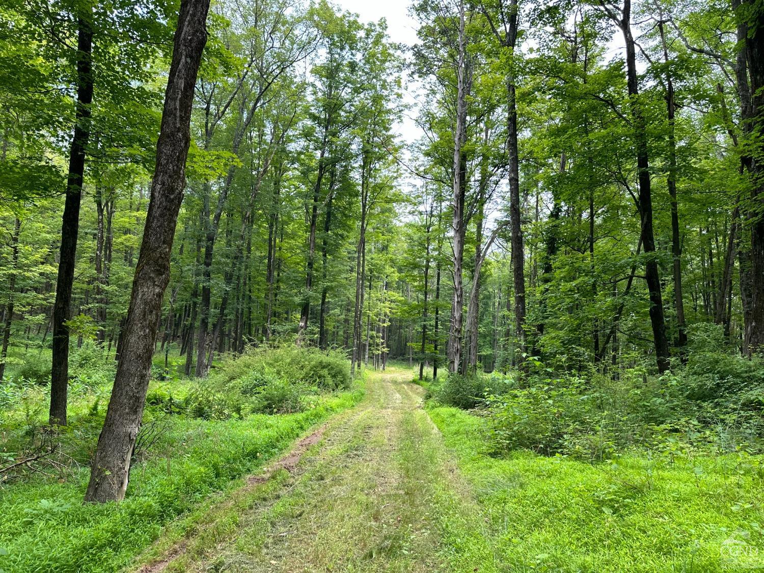 a view of outdoor space and green space