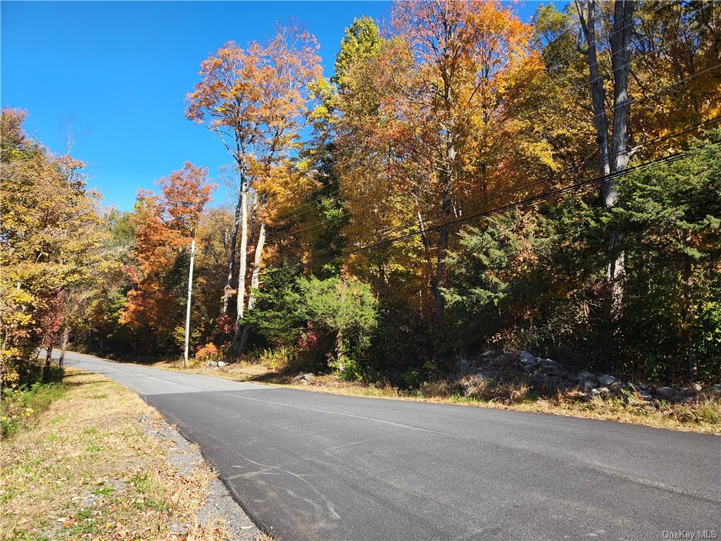 View of road