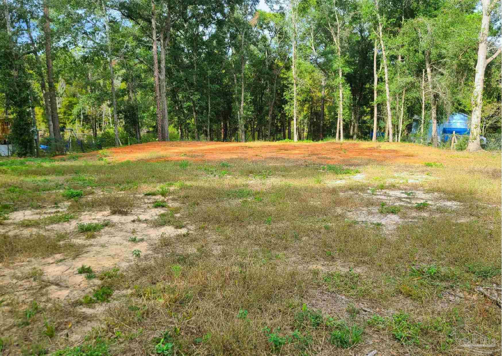 a large yard with lots of trees