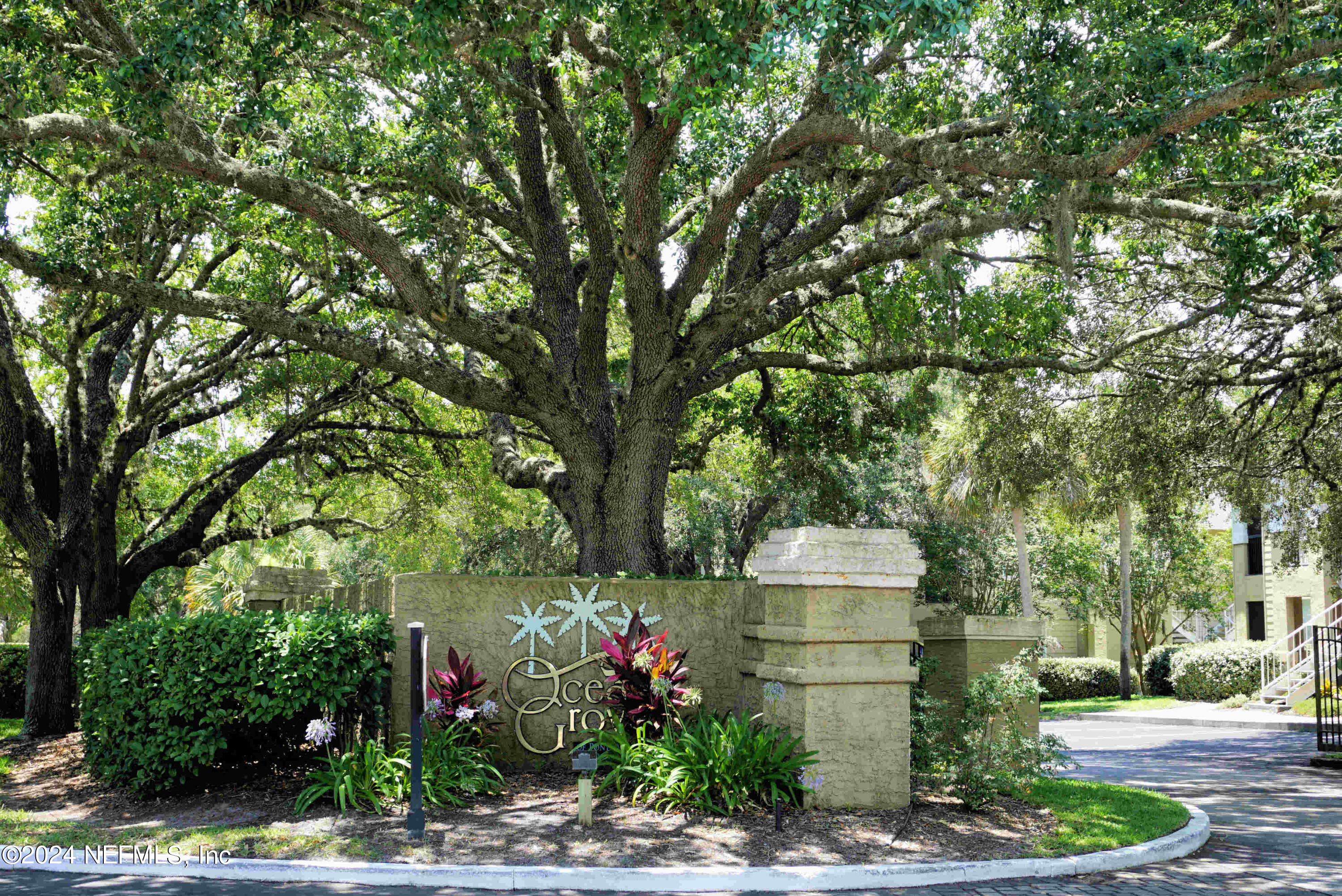 a front view of a house with a yard and large trees