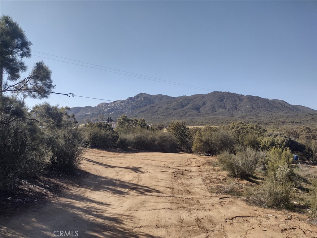 a view of a dry field