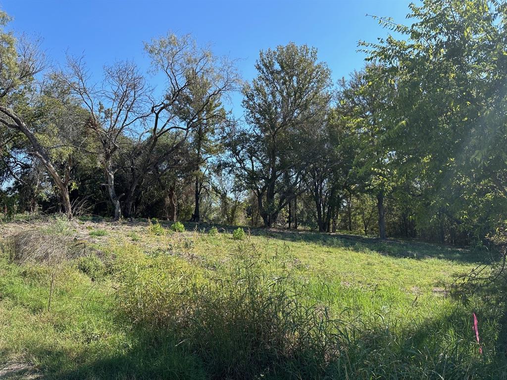 a view of a yard with a tree