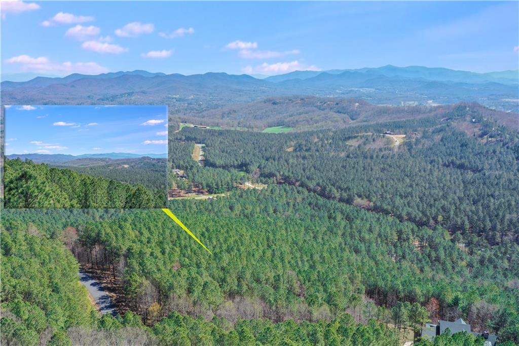 a view of a lush green forest with mountains in the background