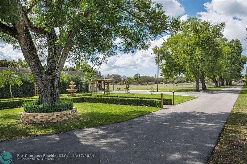 a view of a park with large trees