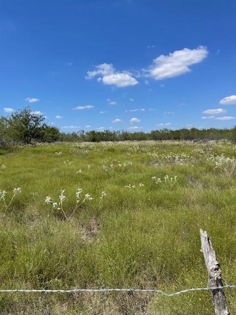 a view of an ocean from a yard