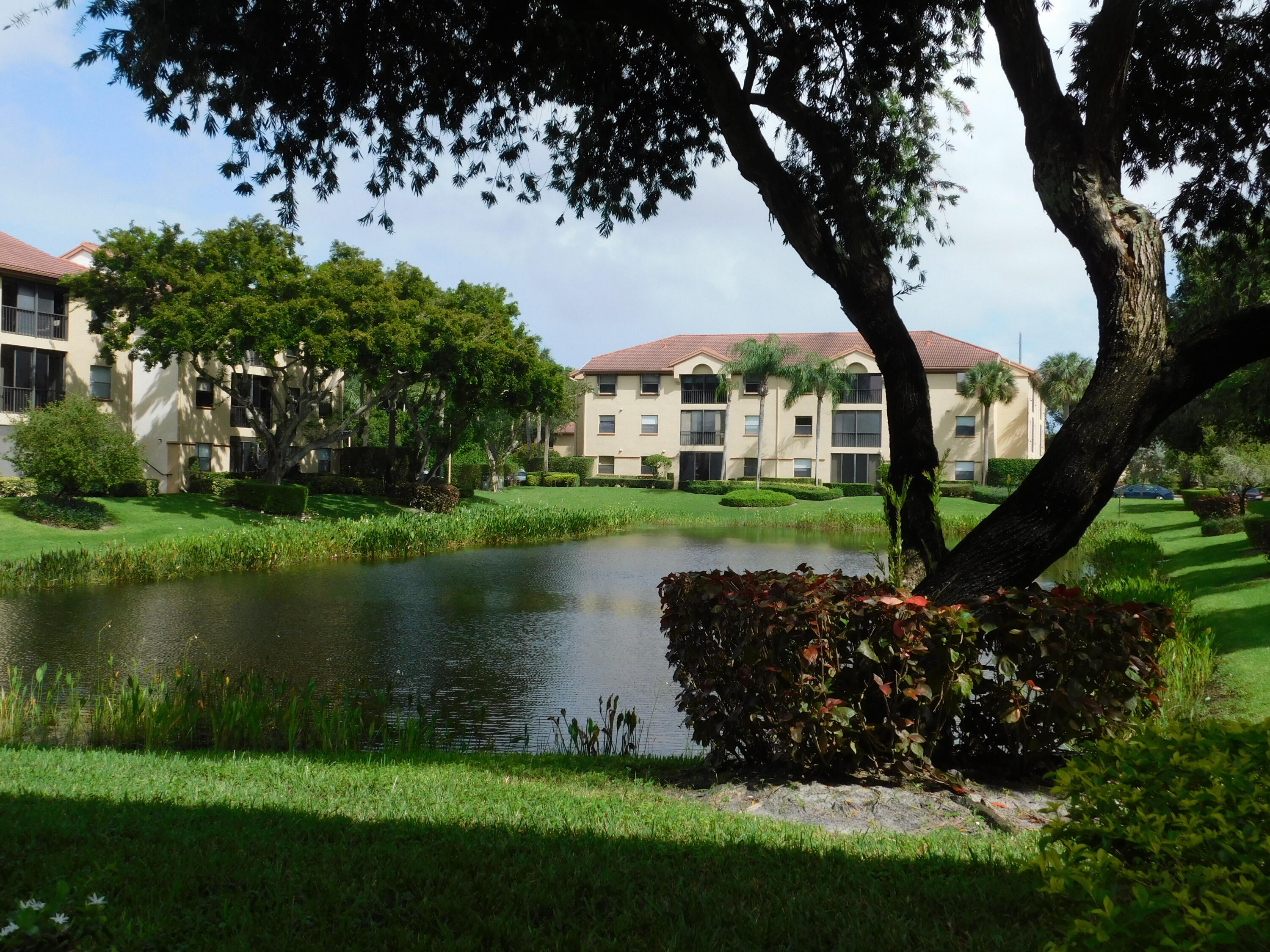 a view of a garden with a lake