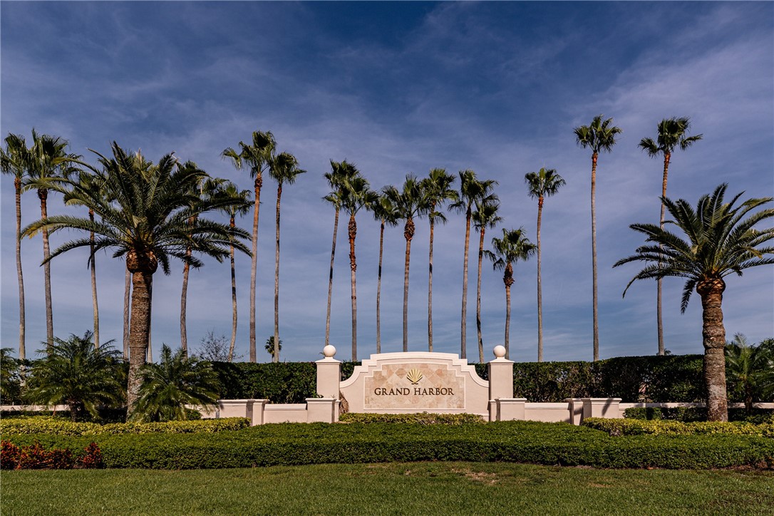 a garden with palm trees