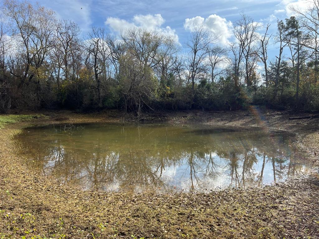 a view of a lake with a yard