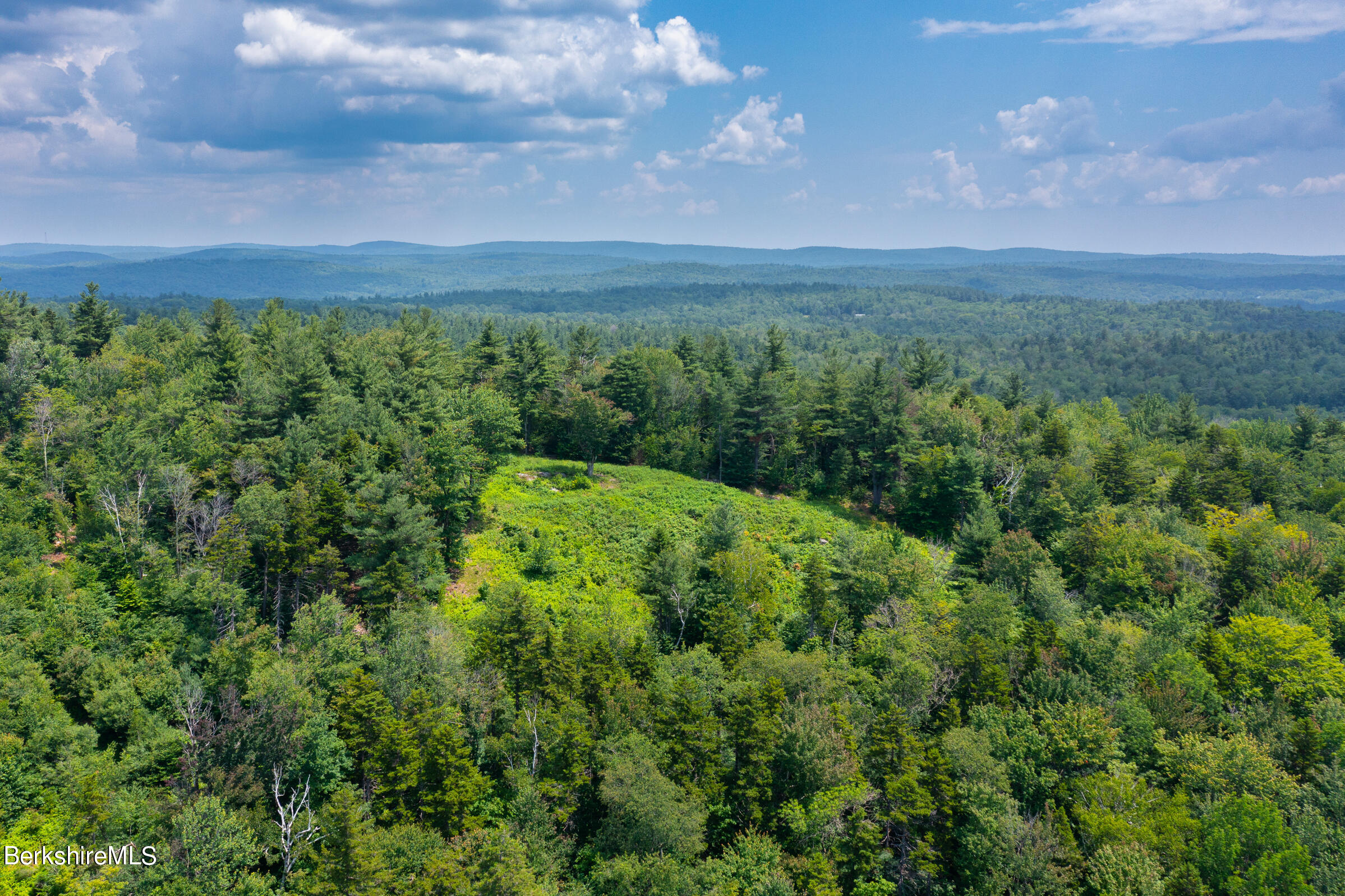 a view of a green field