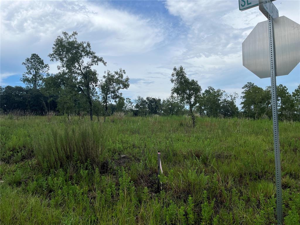 looking in from the south corner of the property off SE 129th Court