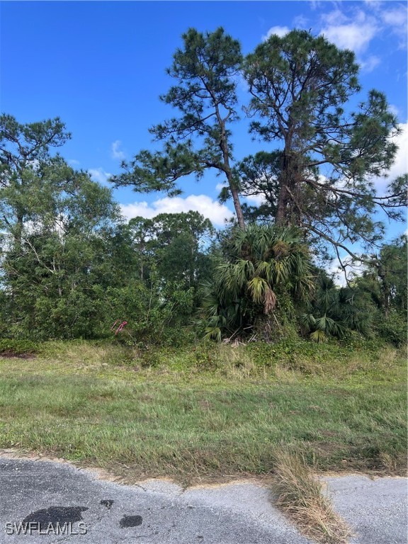 a view of a field with a tree