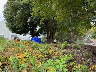 a backyard of a house with lots of green space and utility house