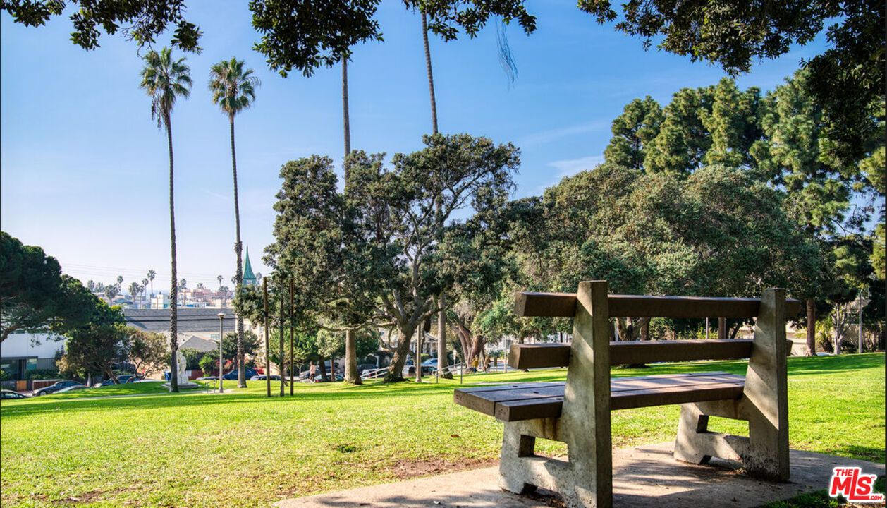 a view of a park with large trees