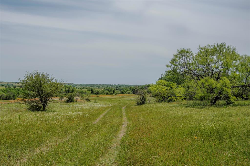 a view of a grassy area with an trees