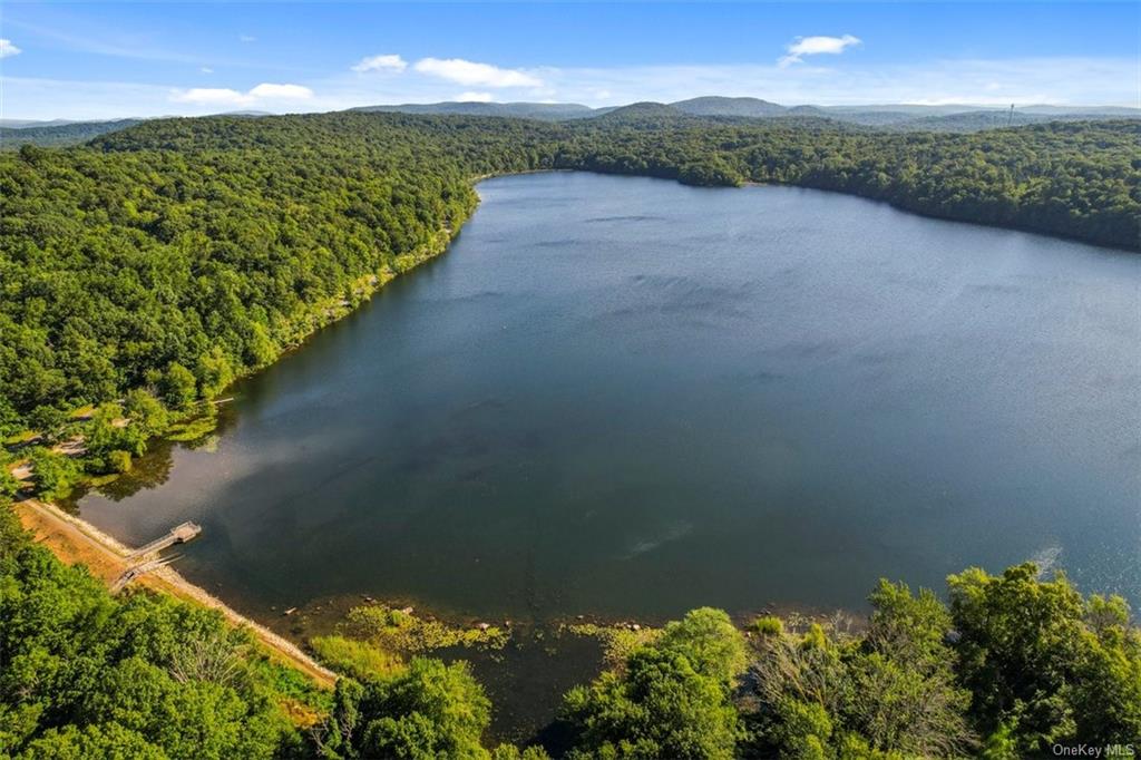 a view of a lake with a garden