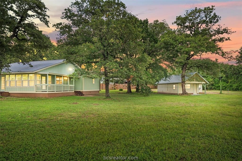 a view of a big yard with plants and large trees