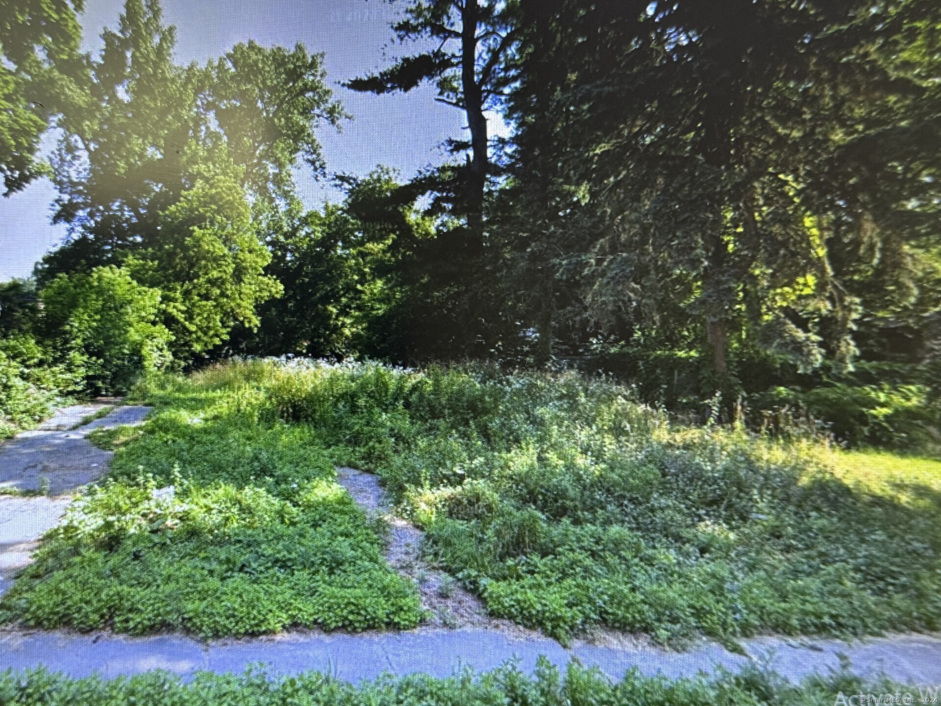 a view of a garden