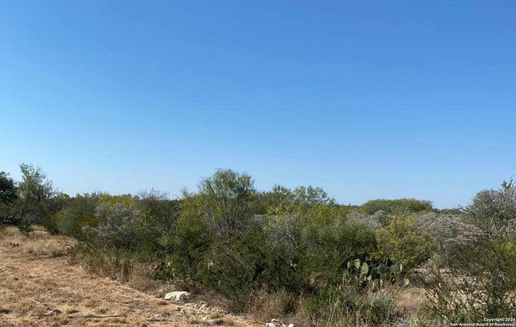 a view of a mountain