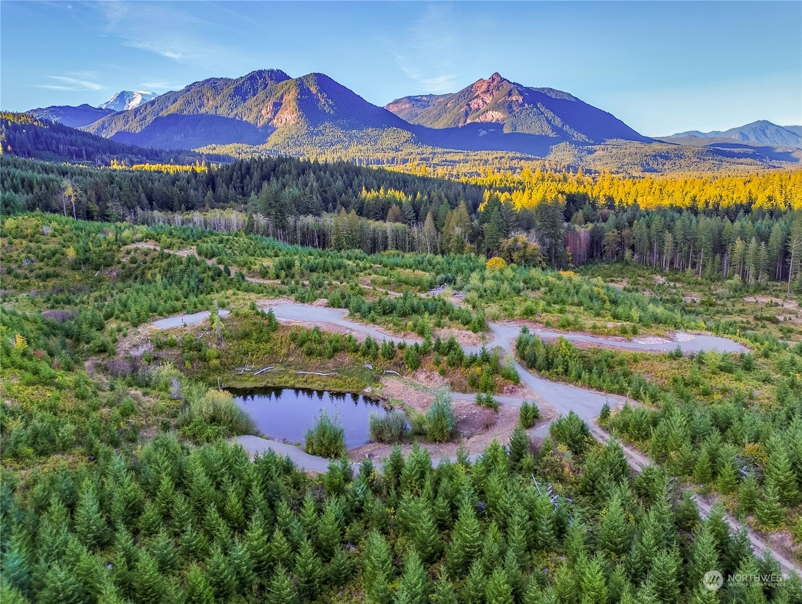 a view of a lake with a mountain in the background