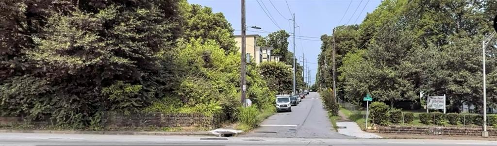 a view of a yard with plants