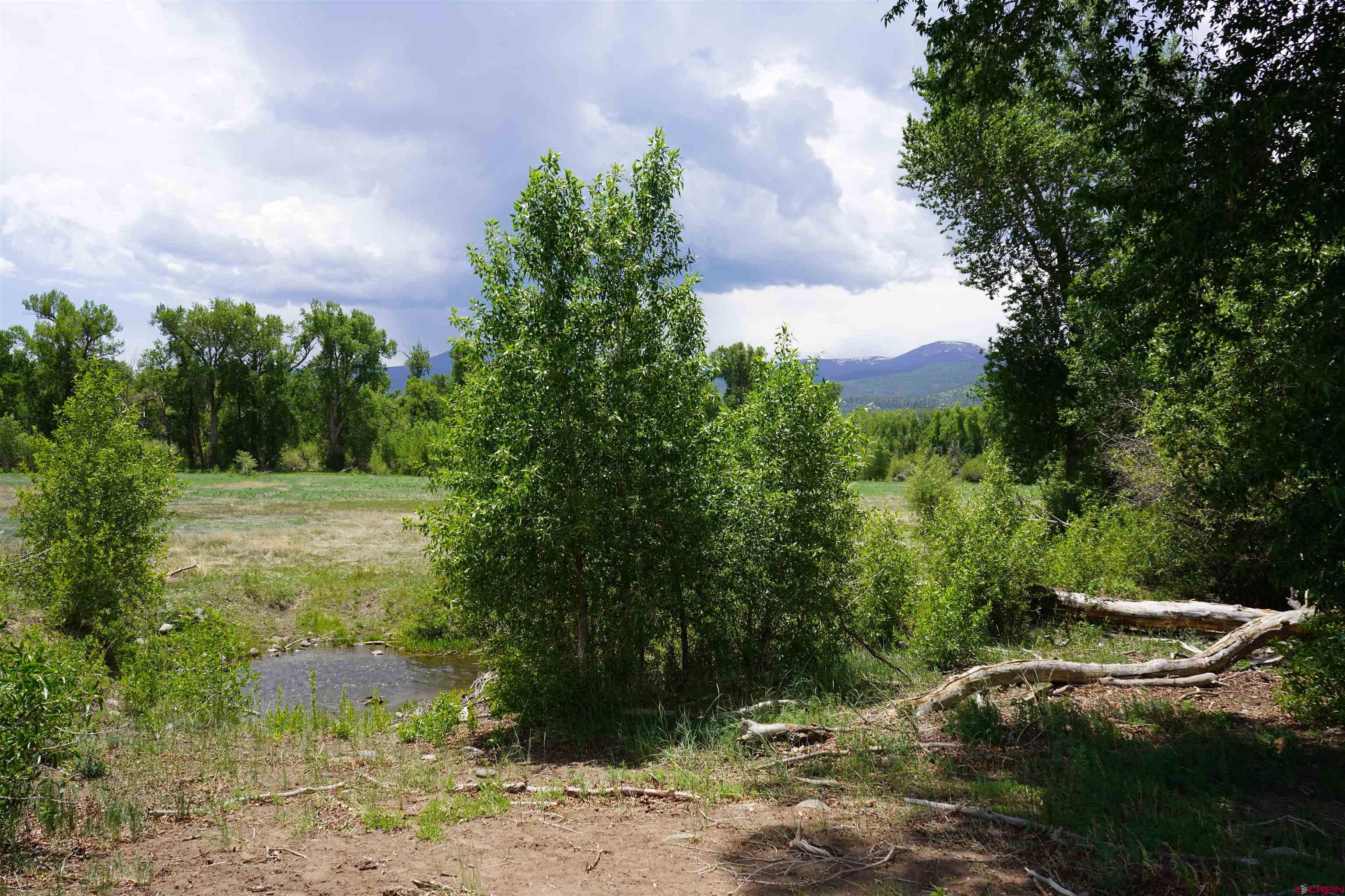 a view of outdoor space and yard