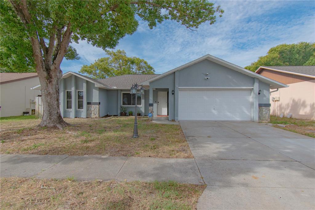 11403 Nature Trail, Port Richey, FL, 34668 - Photos, Videos & More!