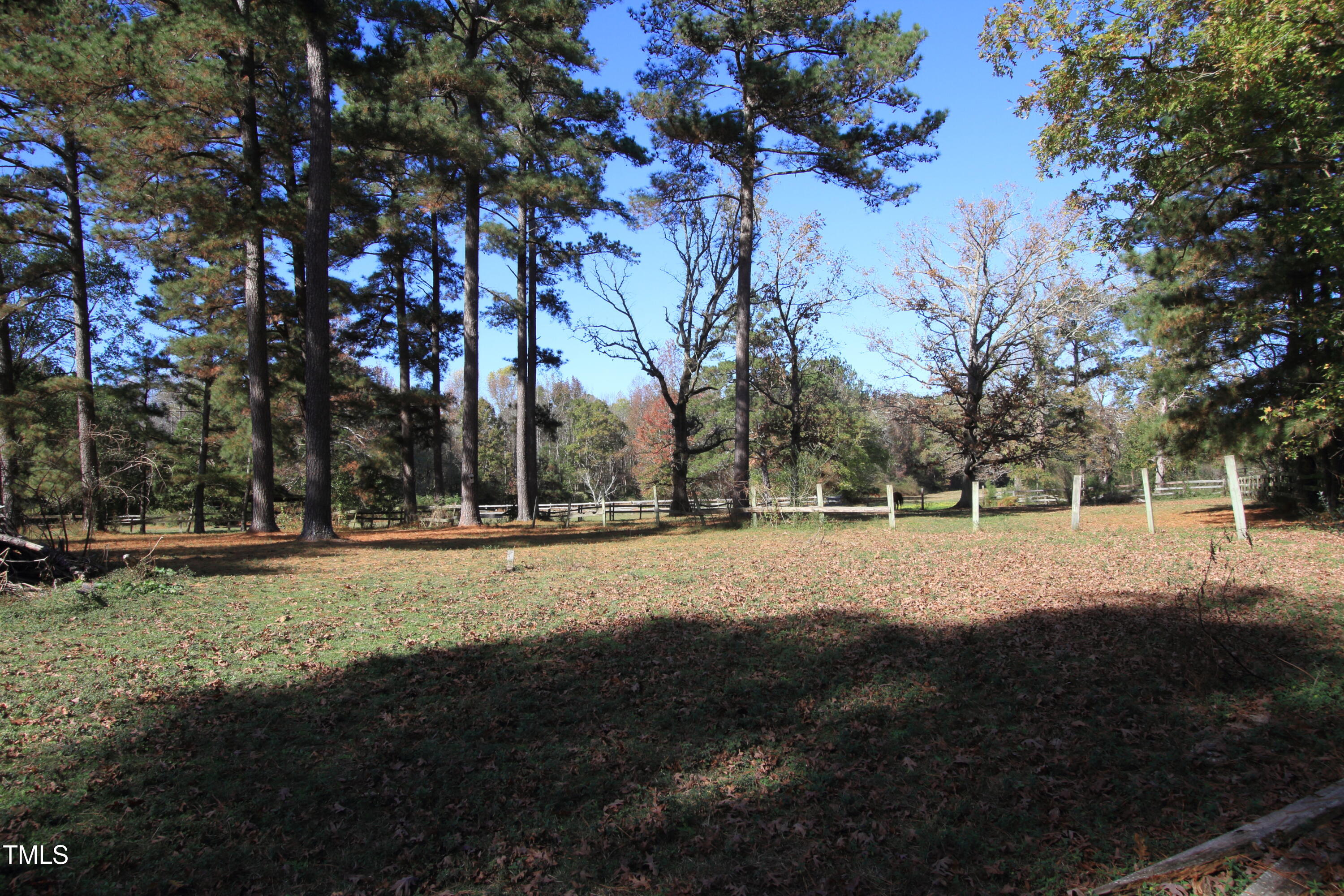 a view of outdoor space with trees all around