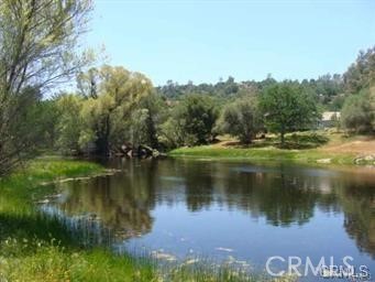 a view of a lake view with a large trees