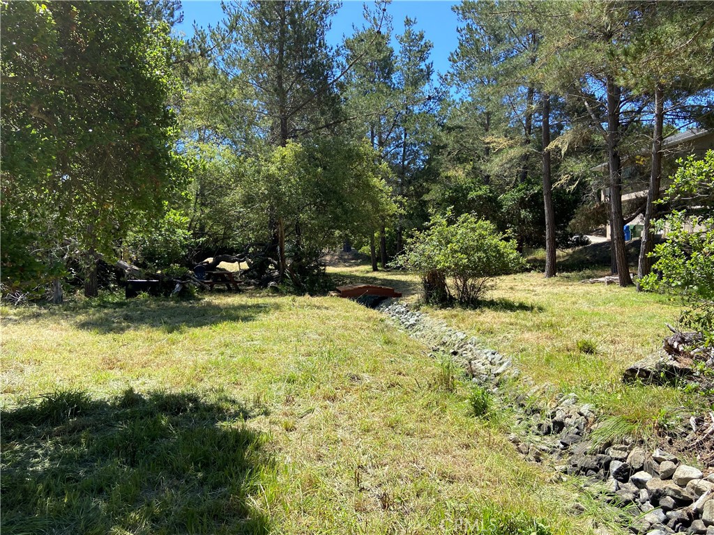 a view of a garden with plants