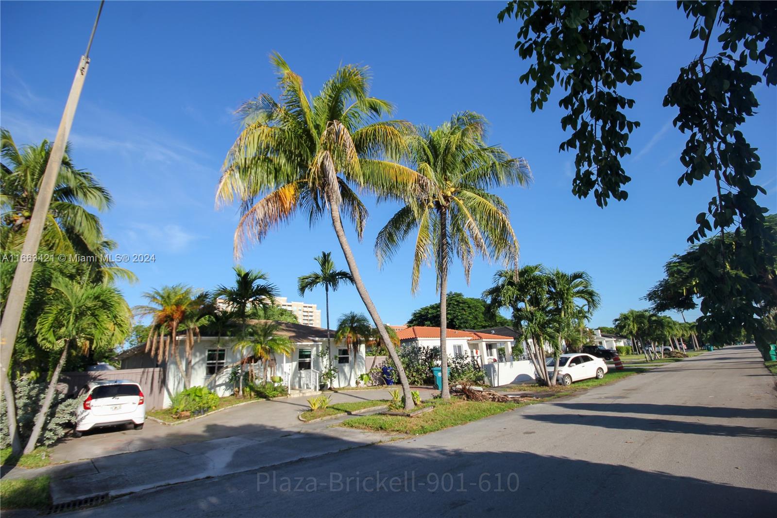 a view of small yard with palm trees