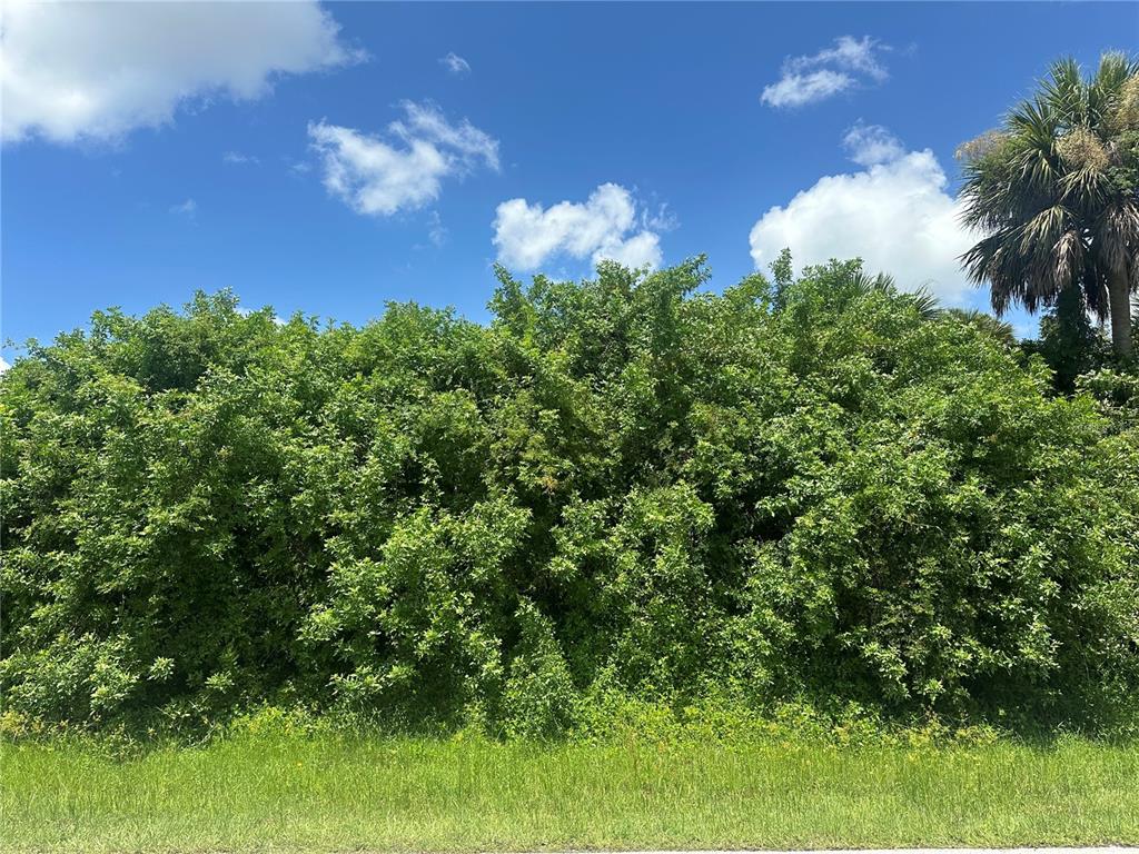 GREAT HOME SITE or INVESTMENT~ Buy both lots and have nearly 1/2 acre!